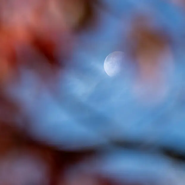 Weiche, abstrakte Naturtextur mit Mond, dekoratives Bild im FAQ-Bereich der Wellenkraft Preisseite.